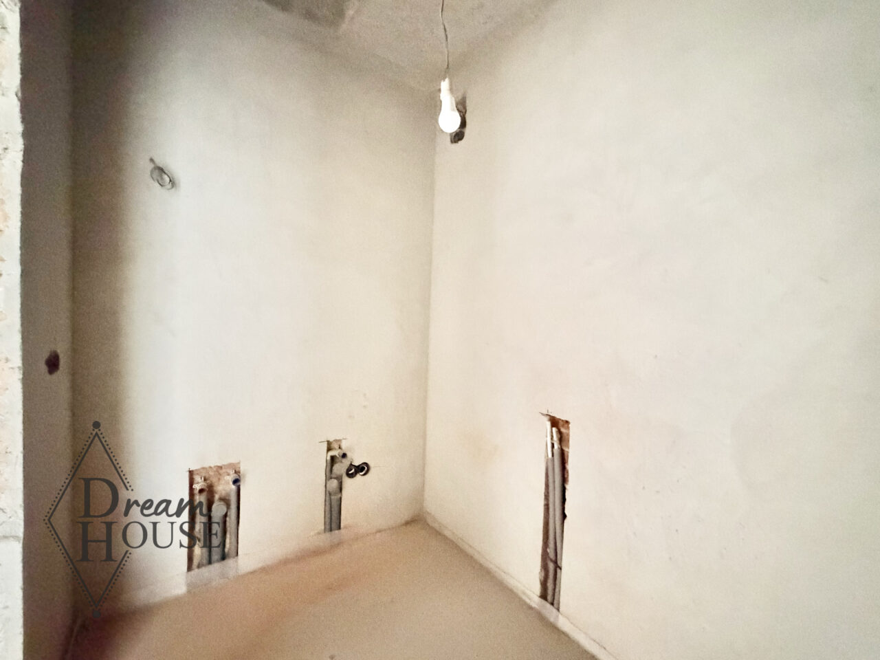 IMG_6603
